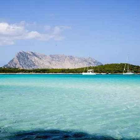 House In Villaggio *